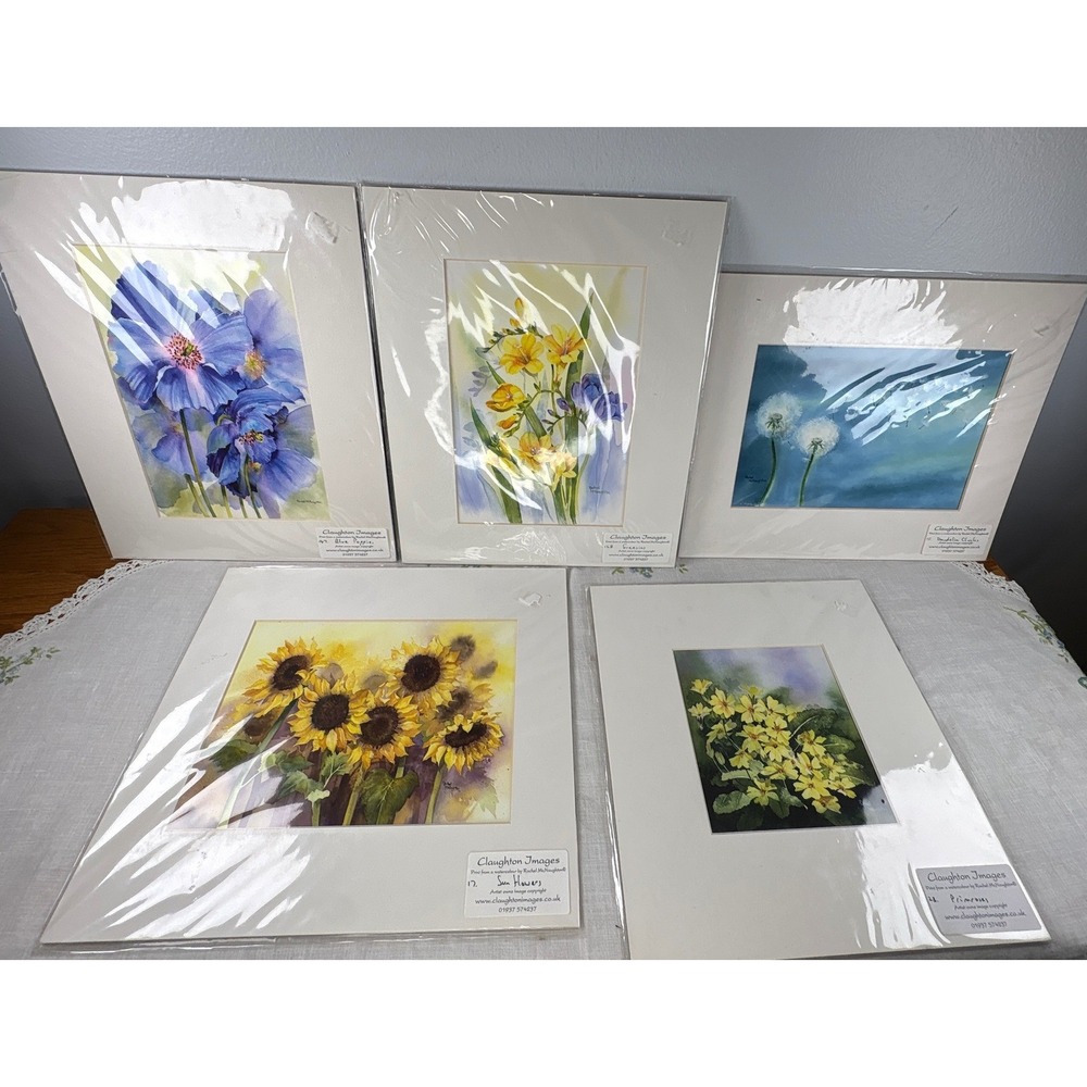 Rachel McNaughton Claughton Images Botanical Watercolor Art Prints Set of 5